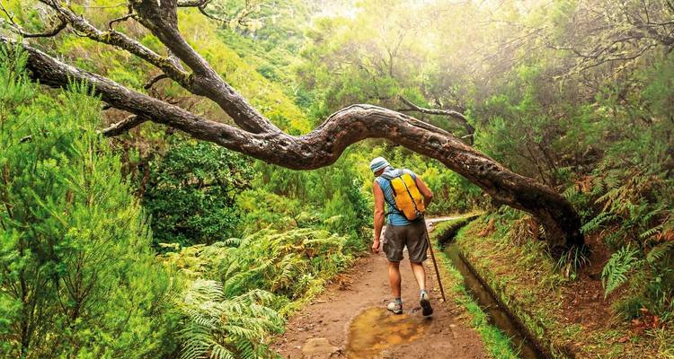 The best sides of Madeira - DERTOUR 5