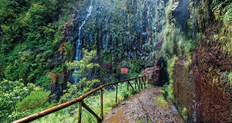 The best sides of Madeira - DERTOUR 3