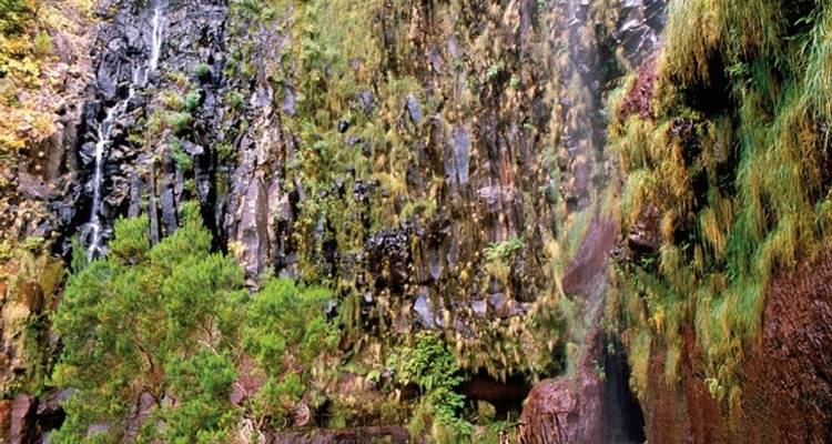 The best sides of Madeira - DERTOUR 4