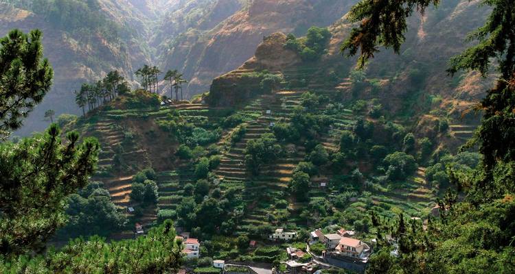 The best sides of Madeira - DERTOUR 7
