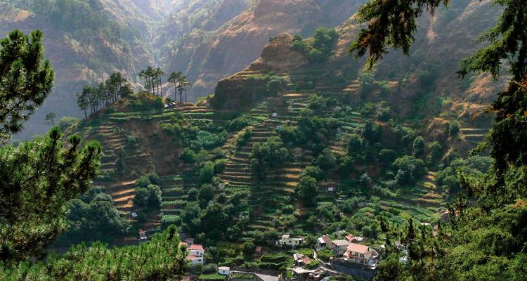 Verdure en terrasses avec des cottages dans une région montagneuse luxuriante.