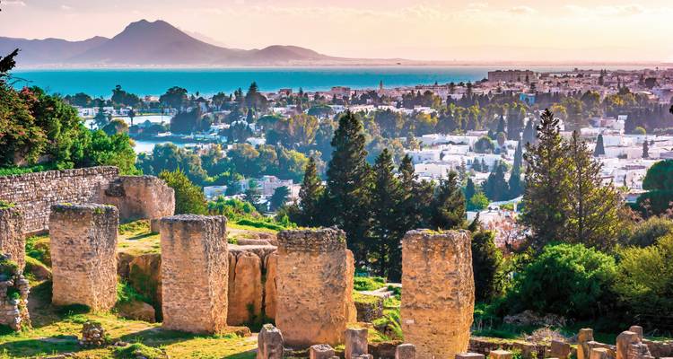 Panoramic view of ancient ruins with a city and sea in the background.