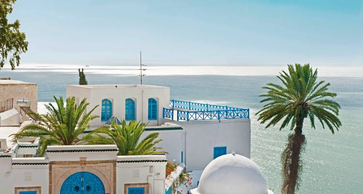 White building with blue accents by the sea and palm trees.