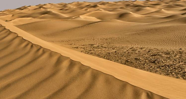 Dunes de sable du désert sous un ciel dégagé.