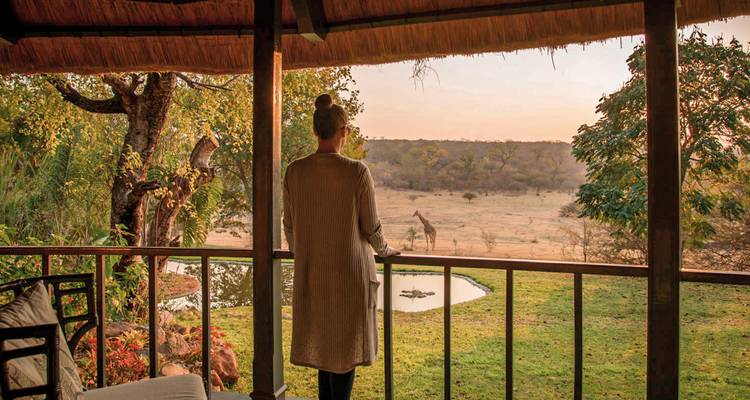 Person on a balcony observing a giraffe in the wild.