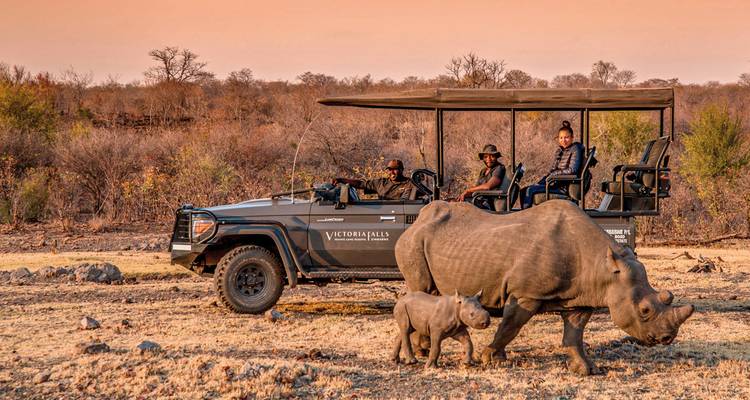 Safari vehicle with tourists watching a rhino and calf.