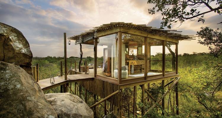 Unique treehouse with large windows in a forest setting.