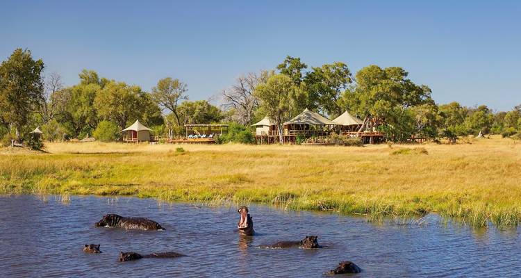 Hippopotames dans l'eau près d'un lodge de safari.