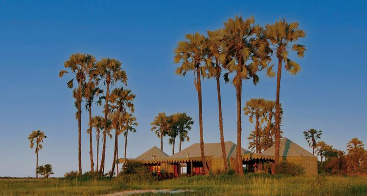 Pavillon entouré de palmiers au coucher du soleil.