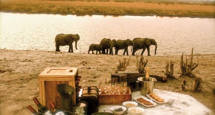 Family of elephants near a river with a picnic setup.