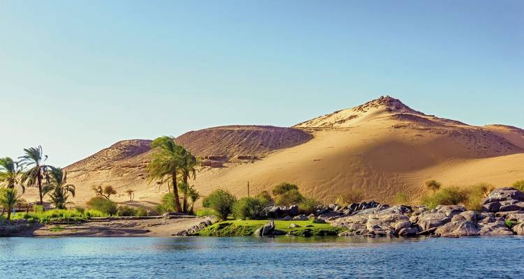 Zandduinen en palmbomen in de buurt van een rivier.