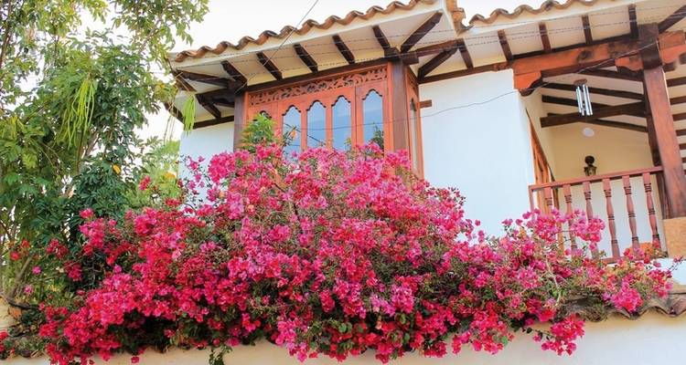 Highlights around Bogota - DERTOUR 2