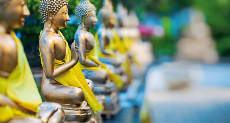 Statues dorées de Bouddha drapées de tissu jaune, disposées dans un jardin serein.