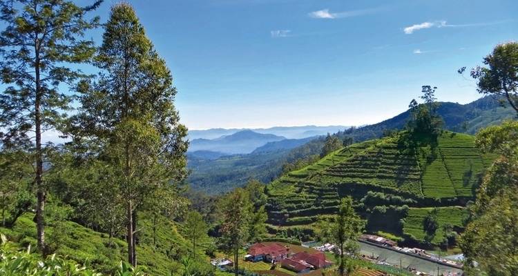 Templos, té y tradiciones (visita privada) - DERTOUR 1