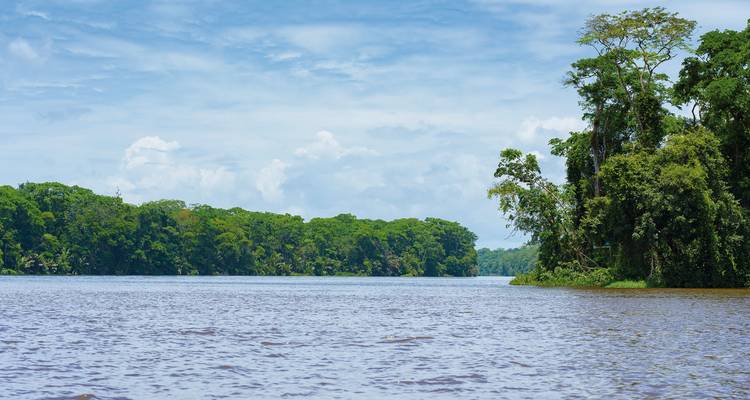 Rustige rivier omringd door dichte jungle onder een bewolkte hemel.
