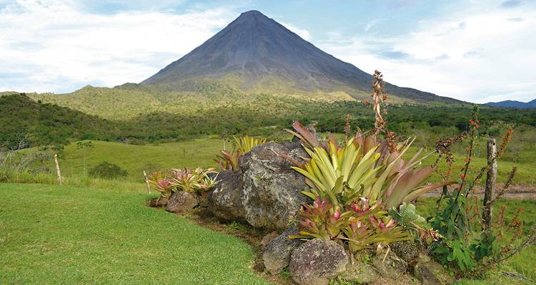 Schilderachtig uitzicht op de Arenal vulkaan met levendige flora op de voorgrond.