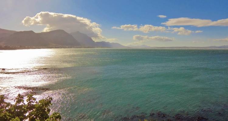 Cape in Style (from Cape Town/to Gqeberha (Port Elizabeth)) - DERTOUR 5