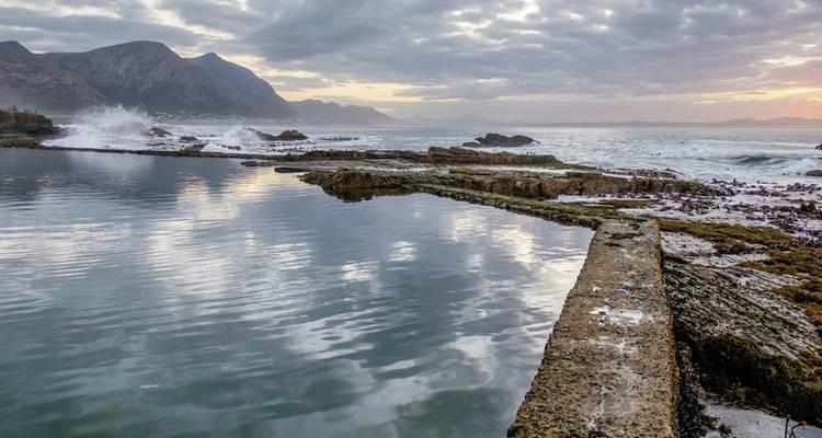 Cape in Style (from Cape Town/to Gqeberha (Port Elizabeth)) - DERTOUR 8