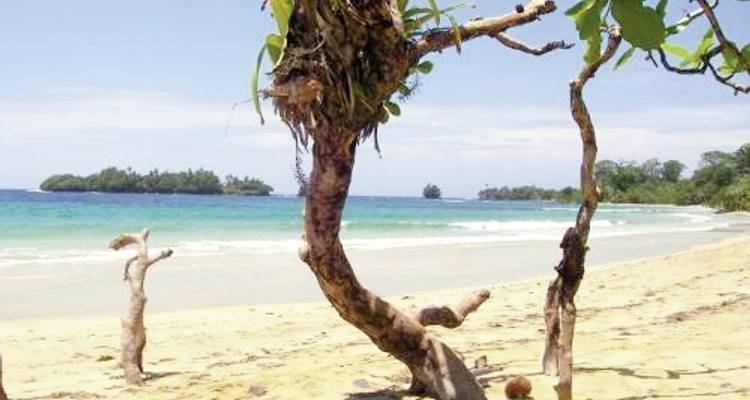 Panama par ses propres moyens, y compris la connexion à Bocas del Toro - DERTOUR 9