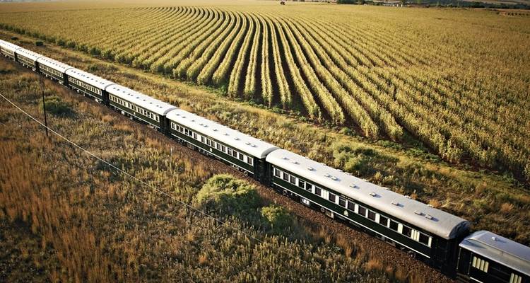 Rovos Rail - La fierté de l'Afrique (from Le Cap to Pretoria) - DERTOUR 2