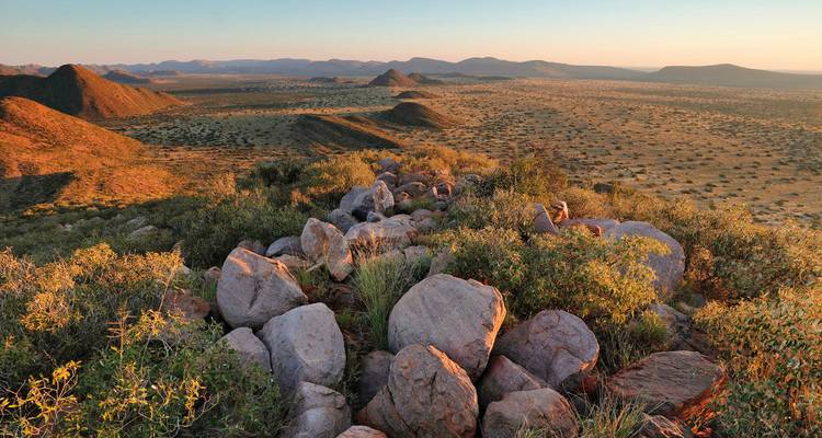 Expansive view of a rugged desert landscape stretching to the horizon at sunset.