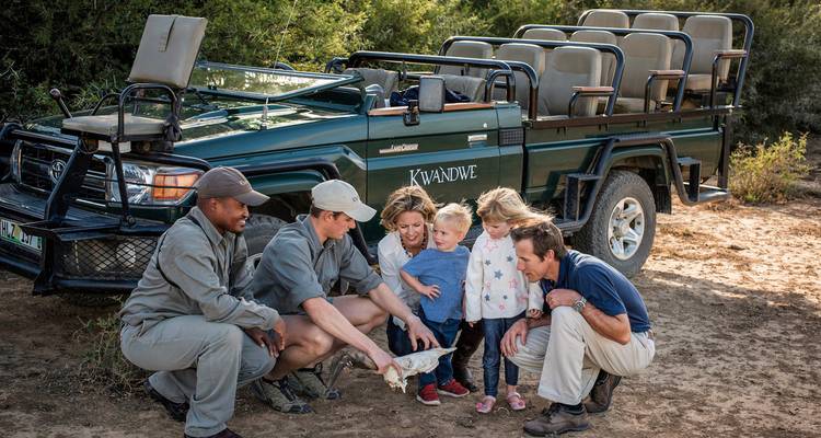 Famille et guides examinant un crâne d'animal près du véhicule de safari.