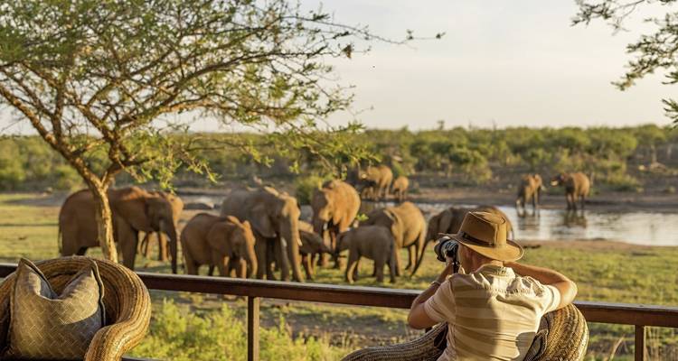Safari en famille en Afrique du Sud avec More Hotels - DERTOUR 7