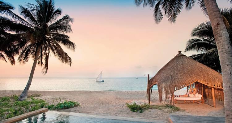Tropical beach scene with palm trees and a thatched hut at dusk.