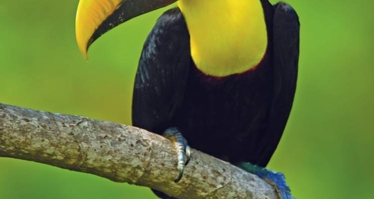 Natural wonders of Costa Rica private tour - DERTOUR 2