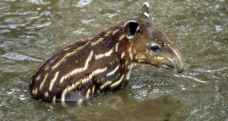 Natural wonders of Costa Rica private tour - DERTOUR 3