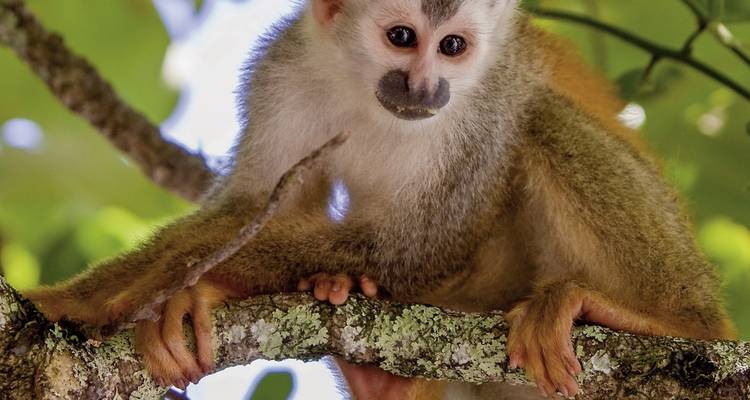 Natural wonders of Costa Rica private tour - DERTOUR 9