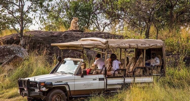 Salto de matorral en Kenia y Tanzania - DERTOUR 8
