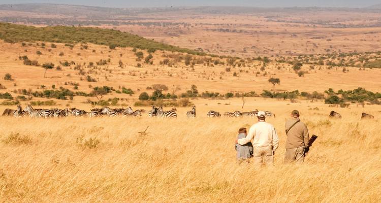 Mensen die tussen zebra's wandelen in een savannelandschap.
