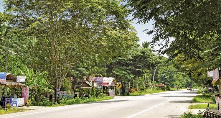 Roadside with lush greenery and small local shops.