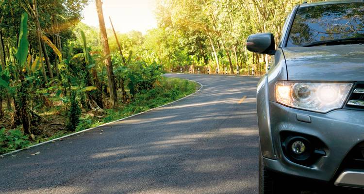 Car parked on a winding forest road.