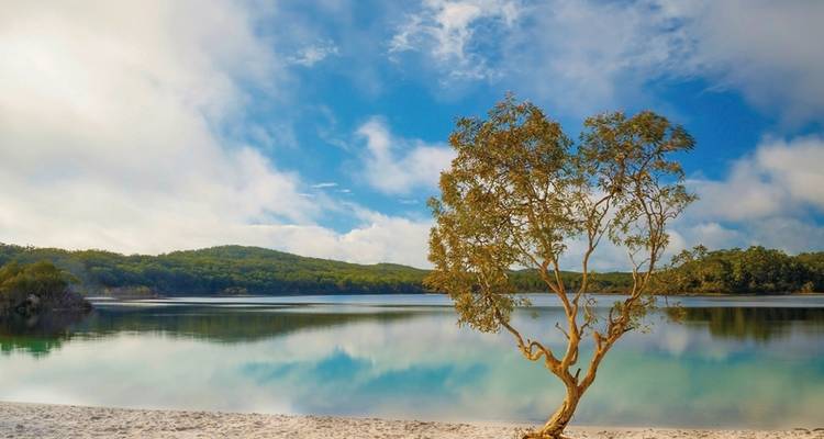 Costa este e islas de ensueño (from Brisbane to Cairns) - MEIERS WELTREISEN 5