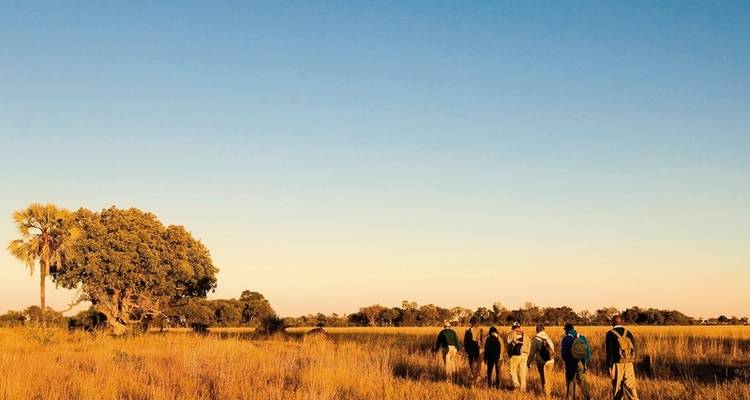 Botsuana - en el corazón de África desde Zambia - MEIERS WELTREISEN 1