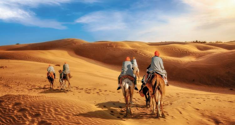 Rajasthan in Style Private Tour - MEIERS WELTREISEN 10