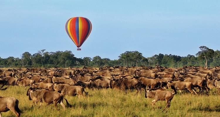 Masai Mara Fly-In Safari Premium de/à Mombasa - MEIERS WELTREISEN 5