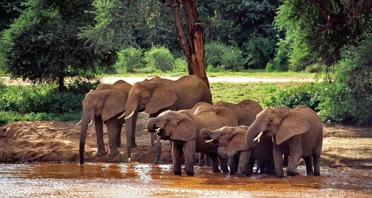 Masai Mara Fly-In Safari Premium de/à Mombasa - MEIERS WELTREISEN 8