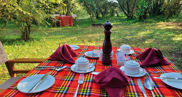 Outdoor dining setup with checkered tablecloths in the wilderness.