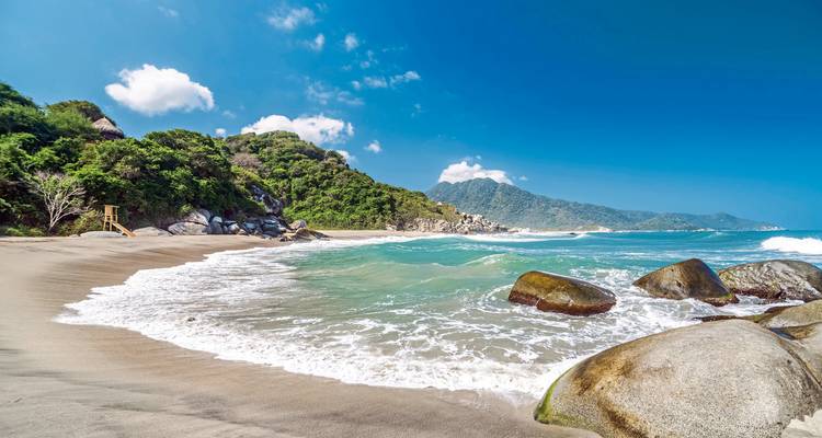 Beautiful beach with greenery and clear blue water.