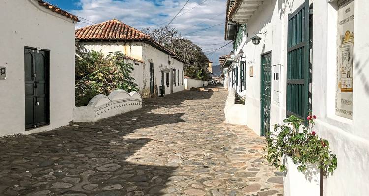 Quaint cobblestone street with traditional houses.