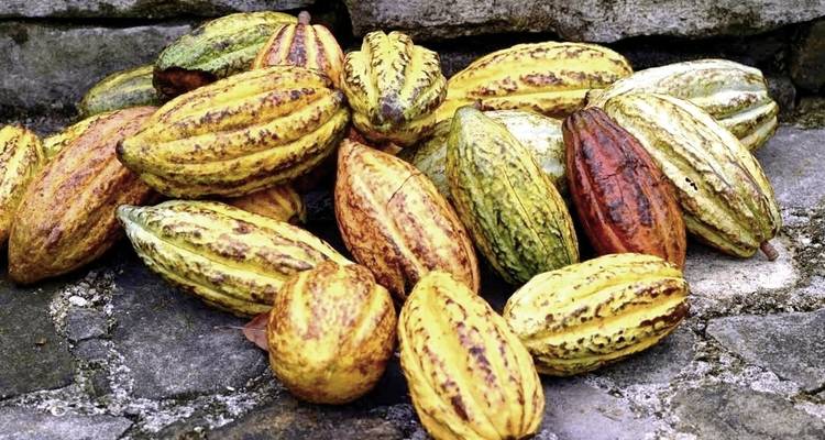 Le meilleur du Belize - MEIERS WELTREISEN 1