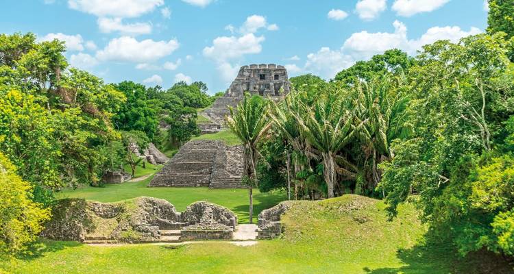 Site archéologique maya avec une végétation luxuriante.