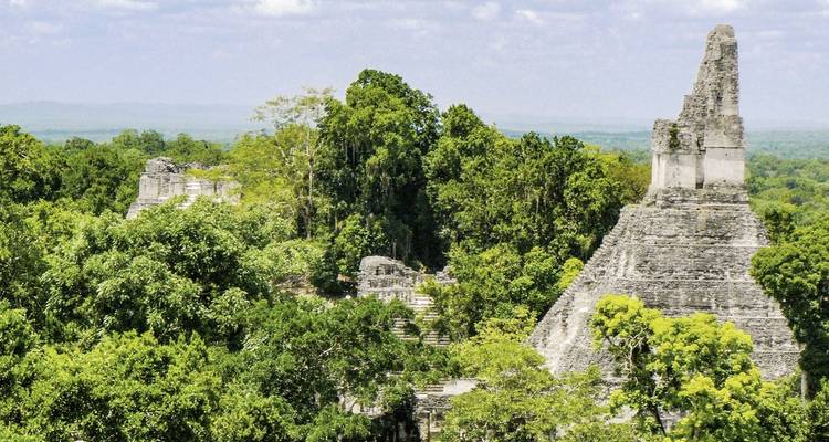 Ruines de temple maya entourées d'une forêt dense.