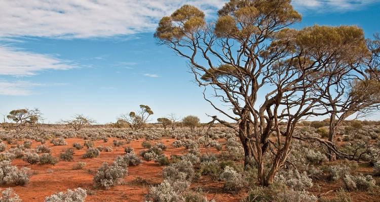 A wide desert area with sparse vegetation and a clear blue sky.