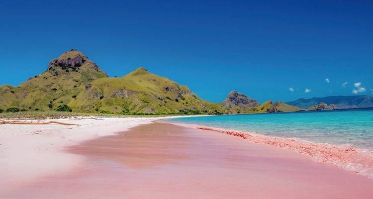 Get to know Komodo & Flores (group tour) - MEIERS WELTREISEN 2