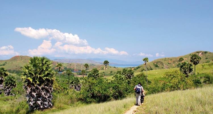 Get to know Komodo & Flores (group tour) - MEIERS WELTREISEN 6