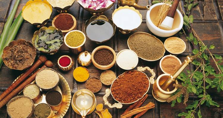 India for lovers - MEIERS WELTREISEN 7